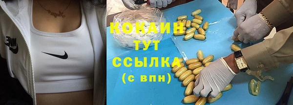 кокс Белокуриха